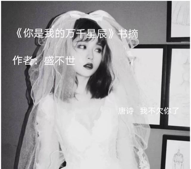 薄夜唐诗最新章节(薄夜唐诗全文章节目录)