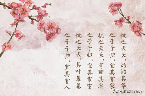 桃之夭夭灼灼其华下一句_桃之夭夭灼灼其华啥意思